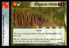 Sawgrass fields invasion usato  Italia