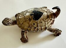 ornate box turtle for sale  Boise