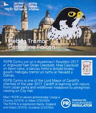 Used, RSPB Pin Badge Special Cymru Cardiff Peregrine Falcon P01328 for sale  SANDY