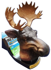 Bull moose head for sale  Camas