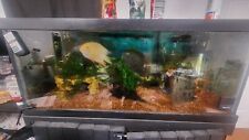 75 gallon aquarium fish tank for sale  Culpeper