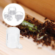 Pcs ant feeding for sale  Shipping to Ireland