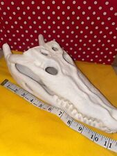 Faux alligator skull for sale  Knightdale