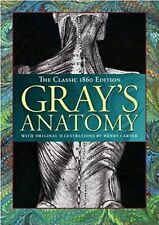 Gray anatomy d'occasion  Vénissieux