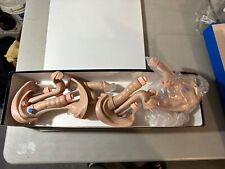 Medical mannequin training for sale  Atlanta