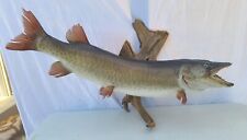 Muskellunge muskie musky for sale  Lebanon