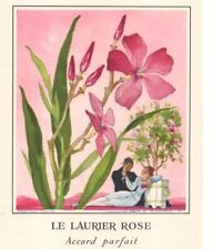 Carte langage fleurs d'occasion  Baignes-Sainte-Radegonde