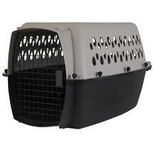 Pet kennel dogs for sale  San Diego