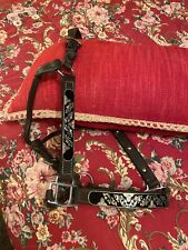 Leather show halter for sale  Greensburg