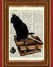 Black cat vintage for sale  Hernando