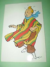 Tintin costume mexicain d'occasion  Laigneville