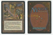 Mtg magic didgeridoo usato  Italia