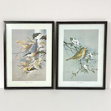 Vintage bird prints for sale  GLOUCESTER