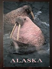 Alaskan walrus alaska for sale  Greenfield