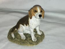 Lovely beagle sitting for sale  SPALDING