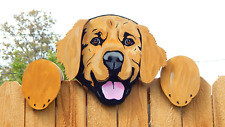 Golden retriever dog for sale  Denver