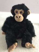 Keel baby chimpanzee for sale  BRISTOL