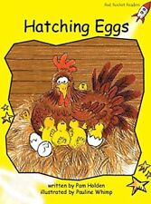 Hatching eggs holden gebraucht kaufen  Rüsselsheim am Main