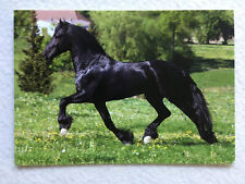 Postkarte pferde irene gebraucht kaufen  Hamburg