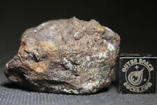 Sericho pallasite meteorite for sale  Rumson
