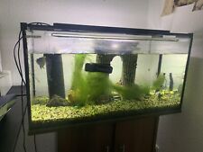 Aquarium komplettset gebraucht kaufen  Hanau