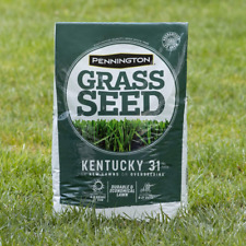 Pennington grass seed for sale  Broad Brook