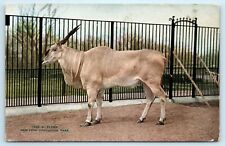 Postcard eland new for sale  Wichita