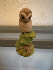 Baby barn owl for sale  UXBRIDGE