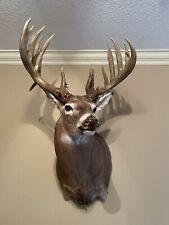 Replica trophy whitetail for sale  Warner Robins
