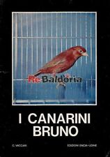 Canarini bruno edizioni usato  Vicenza