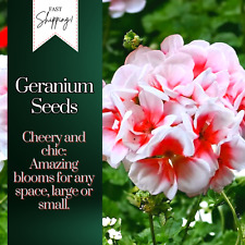 Packet geranium seeds for sale  Meridian
