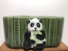 Panda bear bamboo for sale  Rockingham