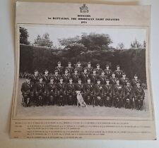 OFFICERS 1st BATTALION ,THE RHODESIAN LIGHT INFANTRY GROUP PHOTO, used for sale  South Africa 