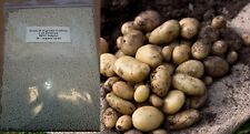 Potato vegetable fertiliser for sale  ARMAGH
