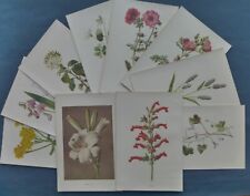 Antique botanical prints for sale  BRISTOL