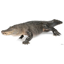 Alligator lifesize cardboard for sale  Layton
