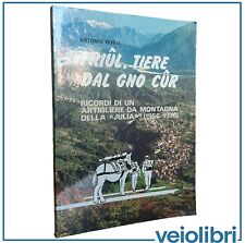 Libro illustrato alpini usato  Roma