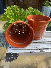 useful plant 20 pot for sale  STOKE-ON-TRENT