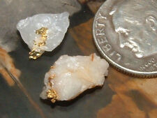 Gold quartz specimens for sale  Banks