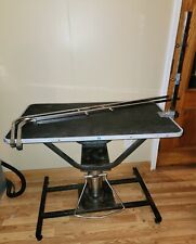 electric grooming table for sale  Candler