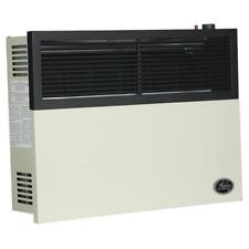 Ashley Hearth Direct Vent Natural Gas Wall Heater 17,000 BTU DVAG17N. (Q-13) for sale  Shipping to Canada