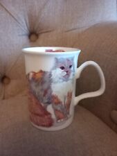 Roy kirkham cats for sale  CHESTERFIELD