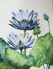 Lotus lotus bleu d'occasion  Montbéliard