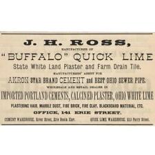 1886 BUFFALO QUICK LIME PORTLAND CEMENT PLASTER FIRE BRICK ERIE BASIN ELEVATOR for sale  Shipping to South Africa