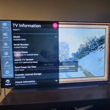 lg oled tv 55inch for sale  Escanaba