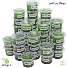 Vitro moss live for sale  HOUNSLOW