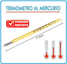 Termometro mercurio pediatrico usato  Roma