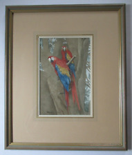 Vintage scarlet macaw for sale  BODMIN