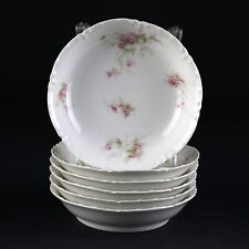 Haviland limoges schleiger for sale  Shipping to Ireland