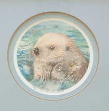Sea otter pup for sale  Wickenburg
